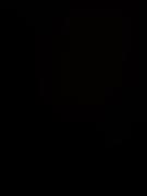 Spacieux Studio au Coeur de Genève