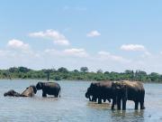 Diamond Walawa Safari Resort