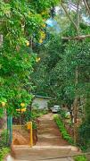 Modern Nature Retreat - Private Holiday Home in Bandarawela Hills