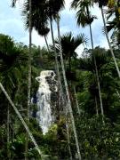 Cozy Homestay Waterfall Road Ella