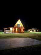 Top Pilchy Top Pilchy