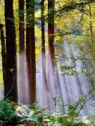 Top Fort Bragg
