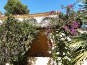 Top Torre delle Stelle