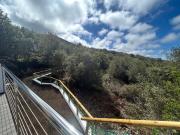 Apartamento de ensueño, vistas al bosque, Stevier