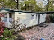 Vintage Forest Chalet