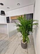 Top Medulin Top Medulin