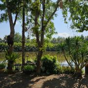 Wooden house & birdsong