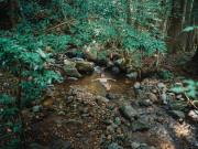 Top Shimo-sagano Top Shimo-sagano