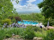 Les Hauts de Jeanvert - Le Bouleau - Piscine - Gaillac
