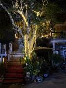 Đưa Nhau Đi Trốn