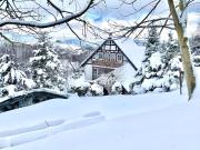 Ferienwohnung Dörnberg erleben mit Tiere bei Winterberg