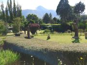 Top Clarens