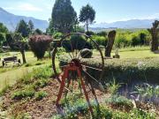 Top Clarens