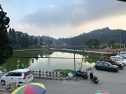 Top Darjeeling