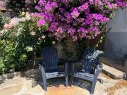 Top São João da Pesqueira