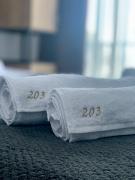 Bakuriani art apart hotel 203