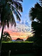 Top Carmen de Apicalá