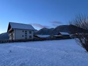 Top Zărneşti Top Zărneşti