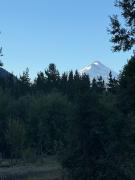 Top Rumiñano Top Rumiñano