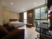 Estudio Candelaria el carmel