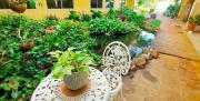 Top Hua Hin