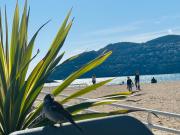 Top Mandelieu La Napoule