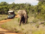 Top Welgevonden Game Reserve