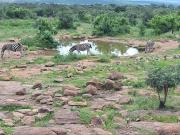 Top Welgevonden Game Reserve