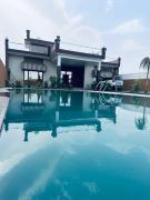 The Jungle Retreat