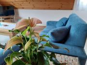 Ferienwohnung am Patenberg