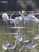 Top Quartu SantʼElena