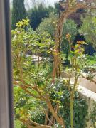 Top Althen-des-Paluds