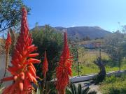 Top Vulcano