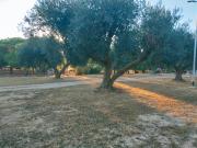 Top San Crispieri
