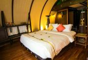 Top Alleppey