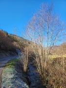 Top Rombach-le-Franc