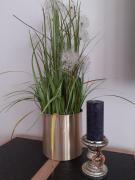 Top Kraków Top Kraków