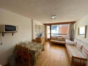 Studio 4 pers skis aux pieds, animaux admis, parking privé - FR-1-445-93
