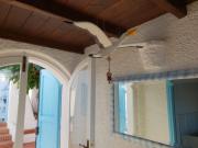 Top S'archittu Cuglieri