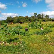 Top Créon-dʼArmagnac