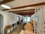 La Paloma Blanca - The White Dove