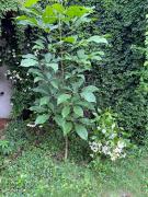 Charming very quiet Center Renewed