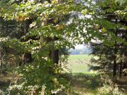 Top Titisee-Neustadt