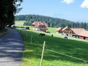 Top Titisee-Neustadt