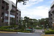 Top Baguio Top Baguio