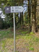 Top Słopnice