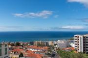 Top Funchal Top Funchal