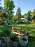 Top Kurort Altenberg