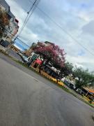 Top Loja