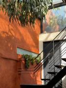 Top San Miguel de Allende